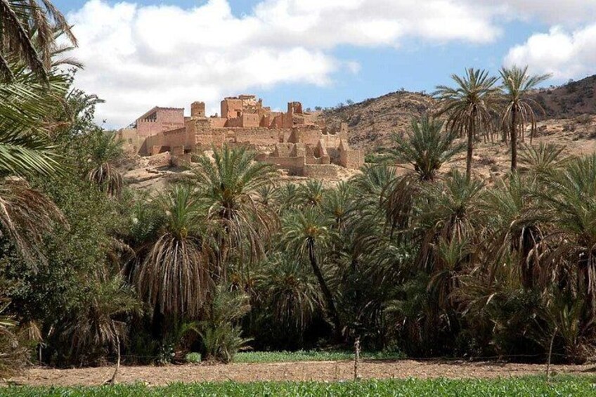 A historical site with ancient ruins, palm trees, and a hilly landscape. 4