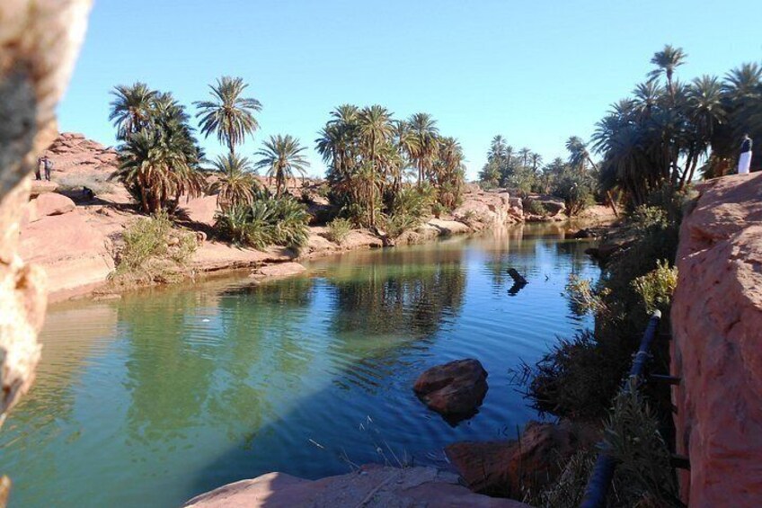 A calm river with rocks and palm trees. 2