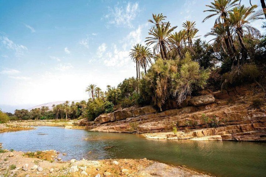 A river with rocky banks, palm trees, and a clear sky. 4