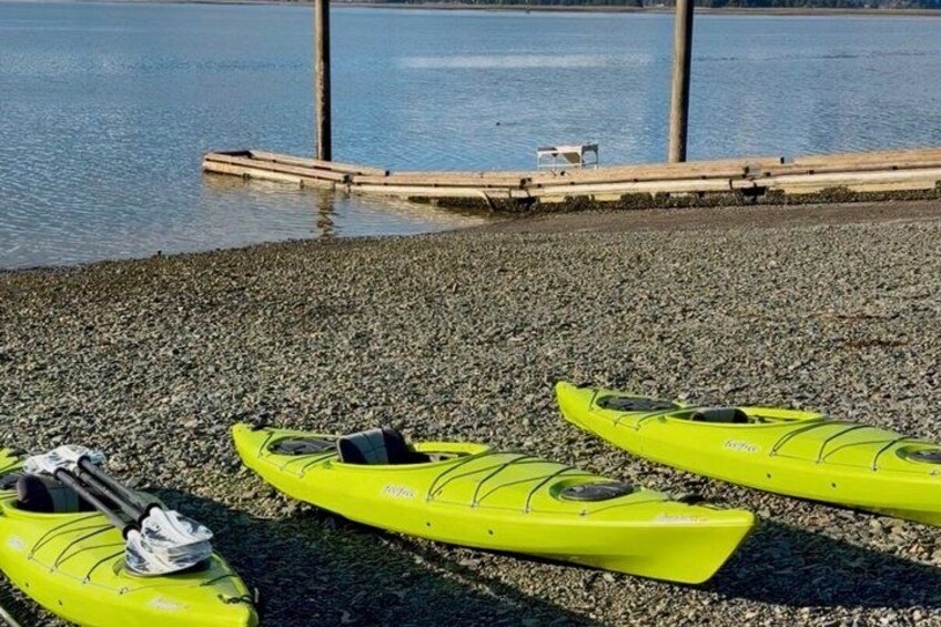 Juneau Small Group Sea Kayaking with Mendenhall Glacier Views 2
