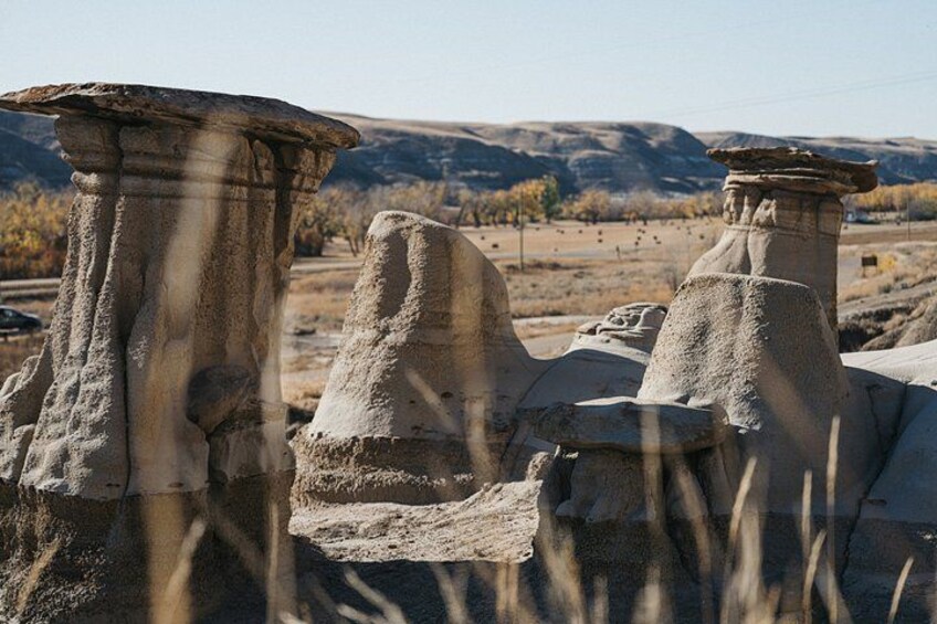 Drumheller Badlands Private Tour: All-Inclusive or Pay-As-U-Go 4
