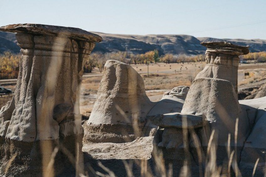 Dinosaurs & Badlands Small Group Excursion: Calgary to Drumheller 2