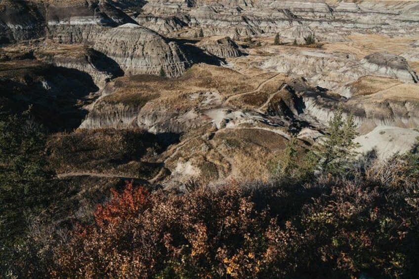 Drumheller Badlands Private Tour 5