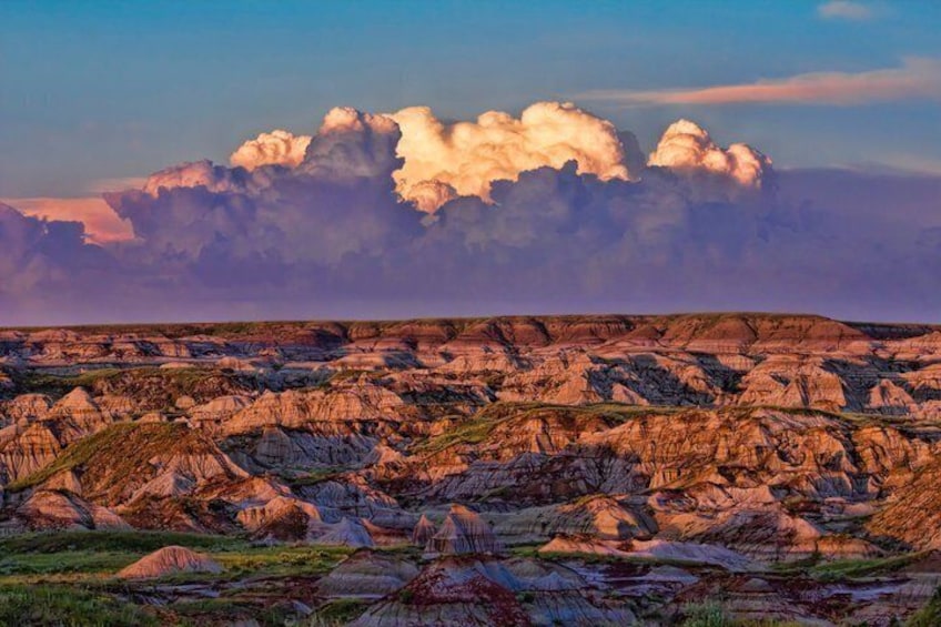 Dinosaurs & Badlands Small Group Excursion: Calgary to Drumheller 3