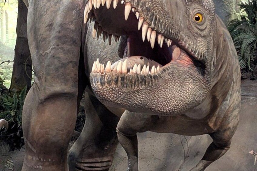 Drumheller Badlands Private Tour: All-Inclusive or Pay-As-U-Go 3