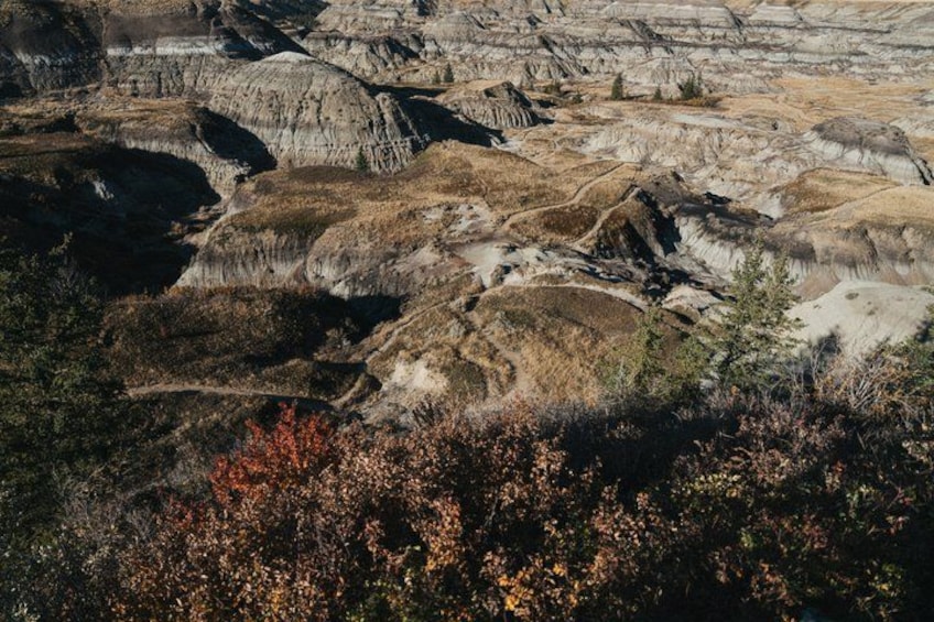 Badlands Small Group Guided Tour: Calgary to Drumheller Dinosaurs 4