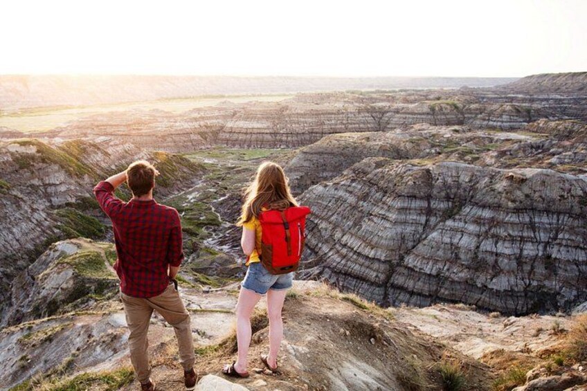 Badlands Small Group Guided Tour: Calgary to Drumheller Dinosaurs 3