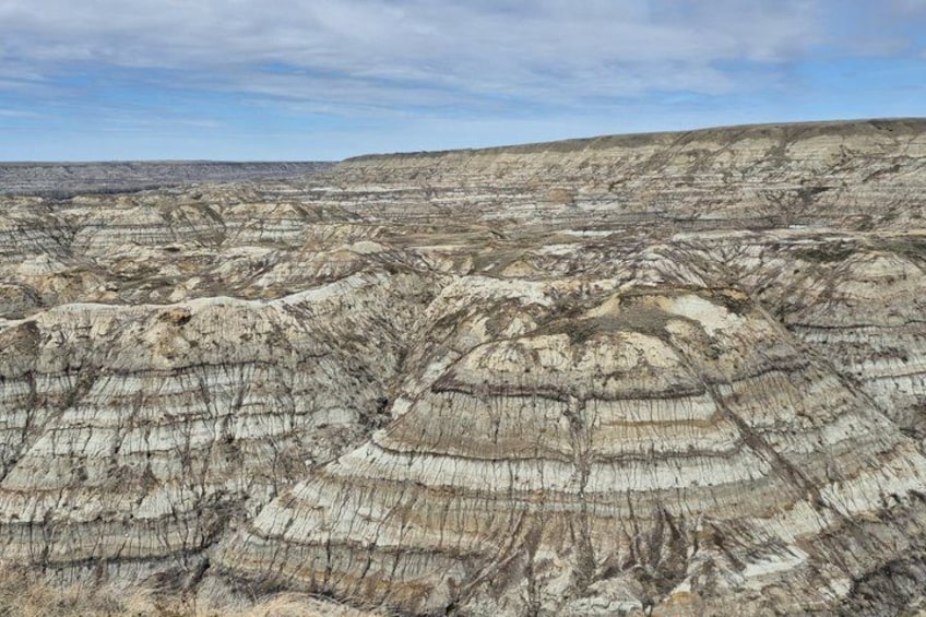 Badlands Small Group Guided Tour: Calgary to Drumheller Dinosaurs 3