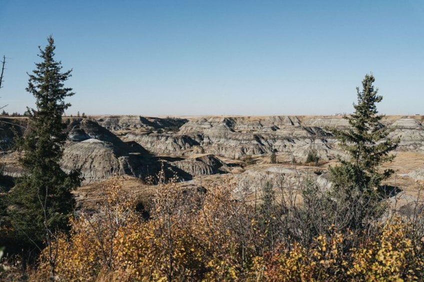 Badlands Small Group Guided Tour: Calgary to Drumheller Dinosaurs 5