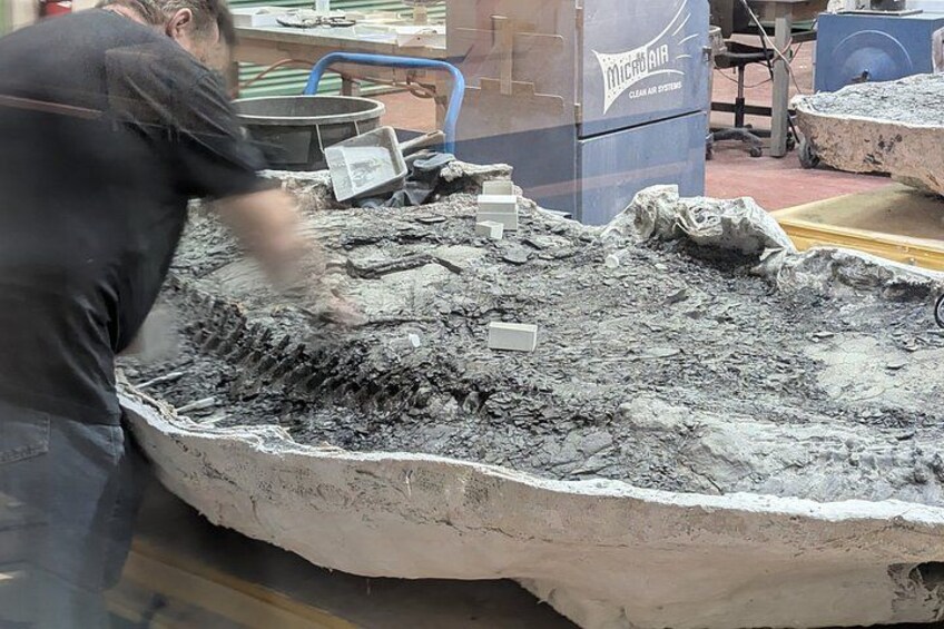 Badlands Small Group Guided Tour: Calgary to Drumheller Dinosaurs 2