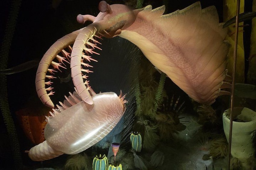Una criatura grande, rosa y de aspecto prehistórico, con una boca ancha y dientes afilados, posiblemente un modelo de animal prehistórico. 2
