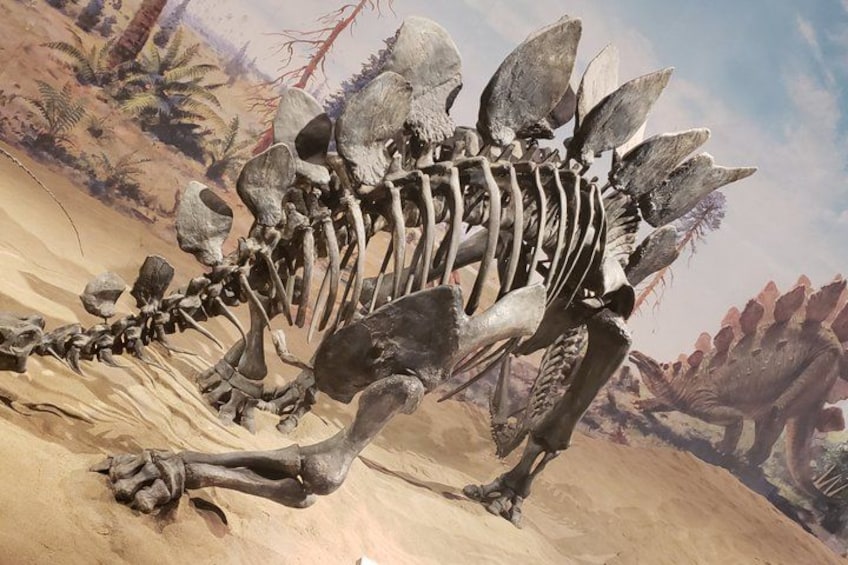 Badlands Small Group Guided Tour: Calgary to Drumheller Dinosaurs 2