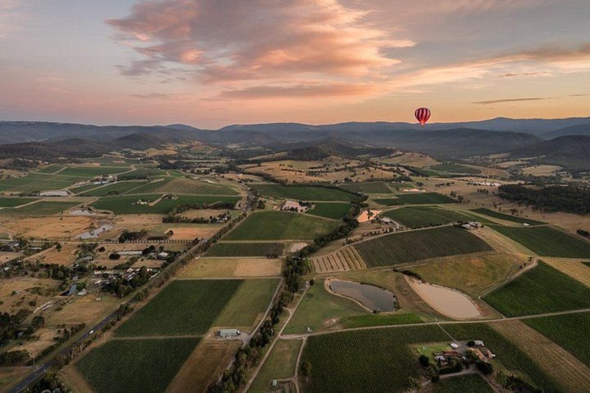 Yarra Valley Balloon Flight with Breakfast & CBD Transfers 3