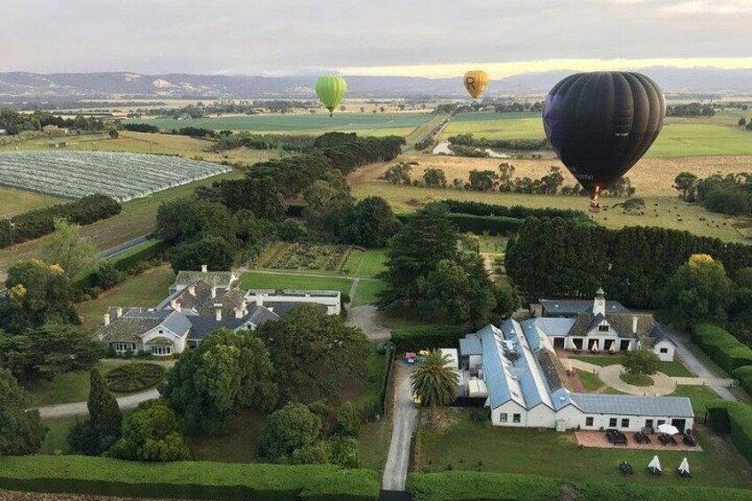 Hot Air Balloon Flight over the Yarra Valley 2