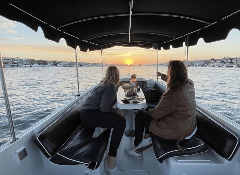 Picture 2 for Activity Newport Beach: 12 Passenger Electric Boat Rental 2