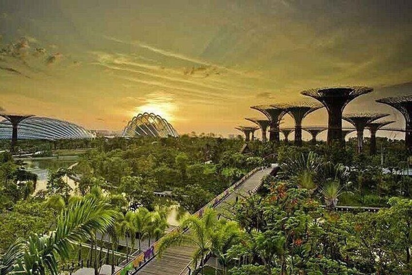 Singapore Gardens by the Bay Ticket Flower Dome and Cloud Forest 5