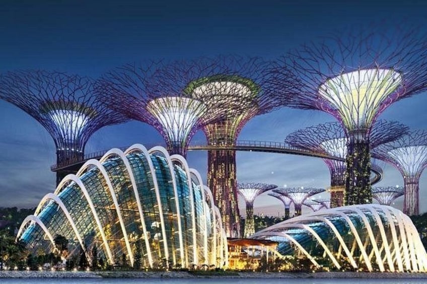 Une série de structures architecturales illuminées, caractérisées par un design original et organique. 3