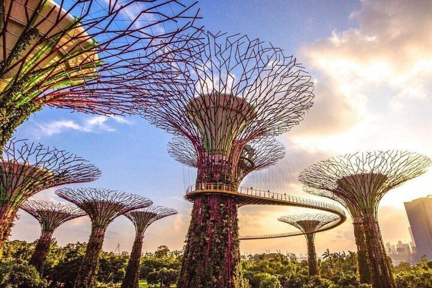 Singapore Gardens by the Bay E-Ticket: Flower Dome + Cloud Forest 2
