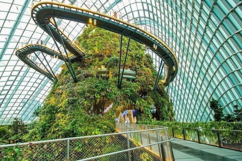 Singapore Gardens by the Bay Ticket Flower Dome and Cloud Forest 2