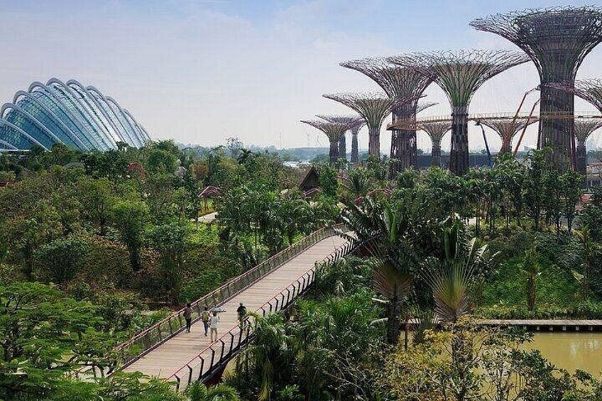Singapore Gardens by the Bay E-Ticket: Flower Dome + Cloud Forest 5