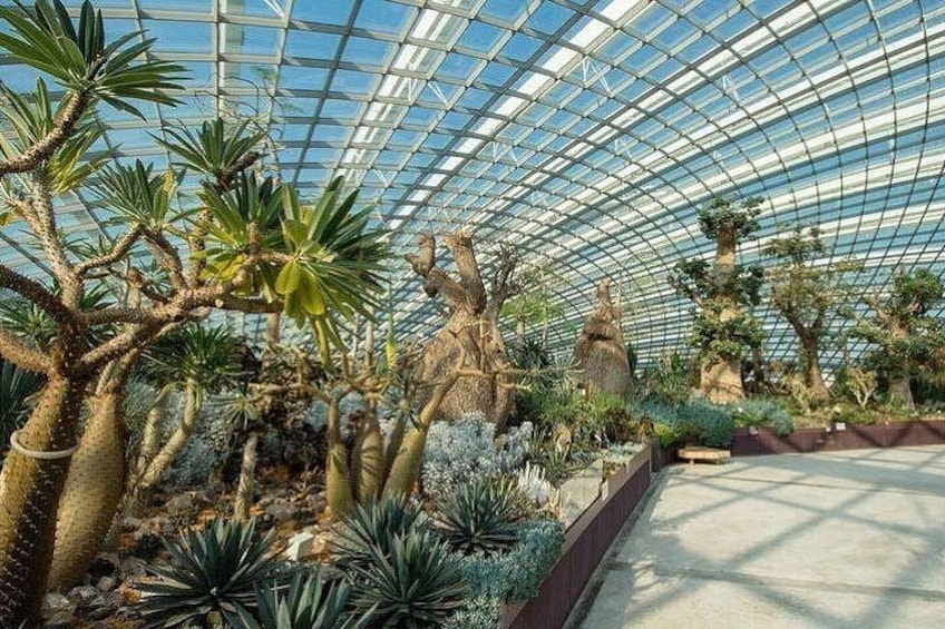 Singapore Gardens by the Bay E-Ticket: Flower Dome + Cloud Forest 4