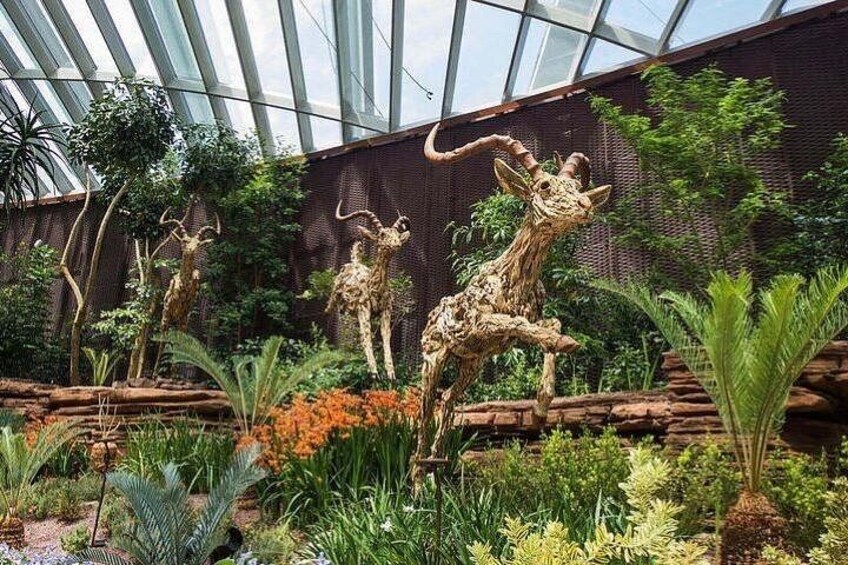 Singapore Gardens by the Bay E-Ticket: Flower Dome + Cloud Forest 3