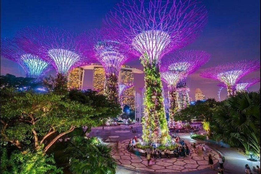 Singapore Gardens by the Bay E-Ticket: Flower Dome + Cloud Forest 2