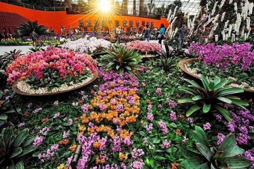 Singapore Gardens by the Bay E-Ticket: Flower Dome + Cloud Forest 3