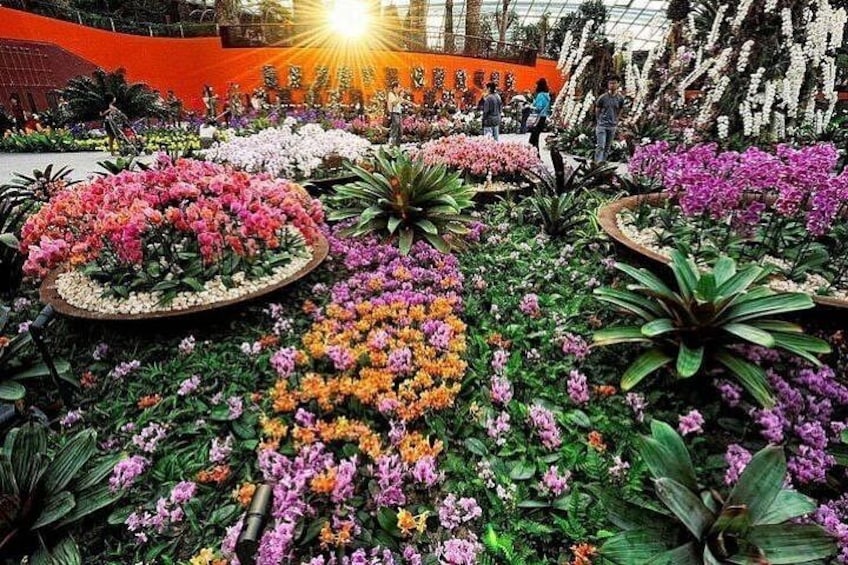 Singapore Gardens by the Bay E-Ticket: Flower Dome + Cloud Forest 2