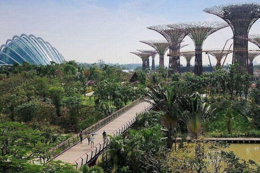 Singapore Gardens by the Bay Ticket Flower Dome and Cloud Forest 2