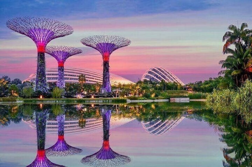 Singapore Gardens by the Bay E-Ticket: Flower Dome + Cloud Forest 2