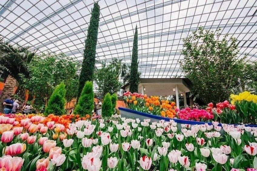 Singapore Gardens by the Bay Ticket Flower Dome and Cloud Forest 3