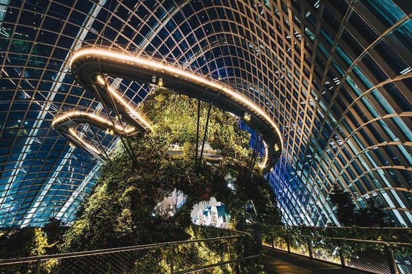Singapore Gardens by the Bay Ticket Flower Dome and Cloud Forest 2