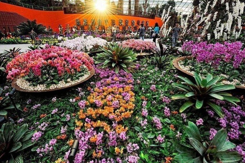 Singapore Gardens by the Bay Ticket Flower Dome and Cloud Forest 2