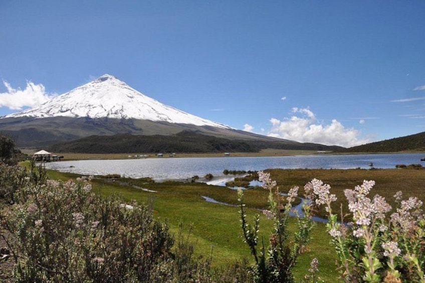 Andean Adventure : Riding and Cotopaxi Refuge 1