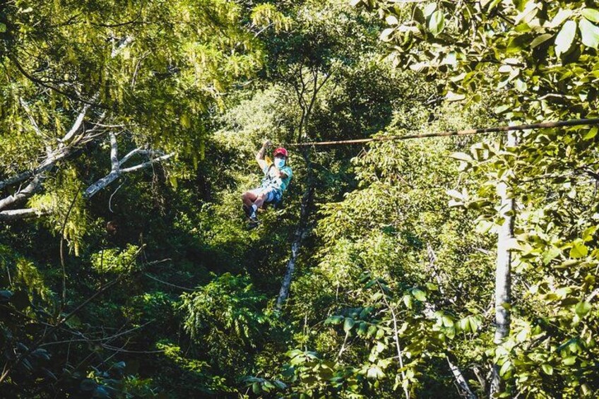 A person zip-lining through a dense forest. 4