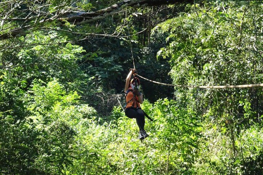 A person zip-lining through a dense forest. 5
