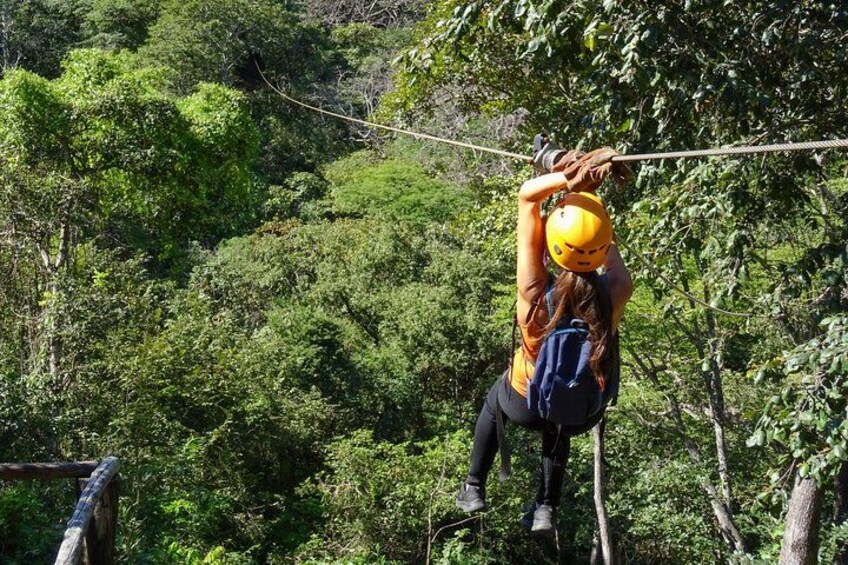 A person zip-lining through a forest. 3
