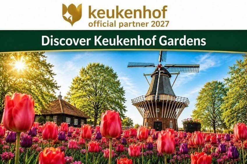 A windmill, tulips, and a traditional Dutch house. 4
