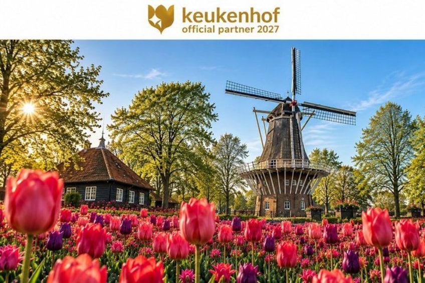 A windmill, a tulip field, and a traditional house. 1