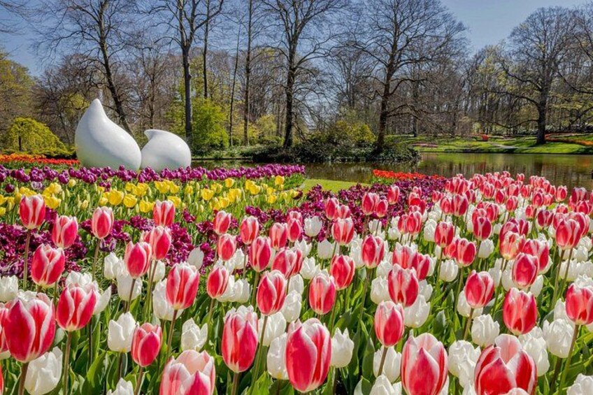 Keukenhof 4