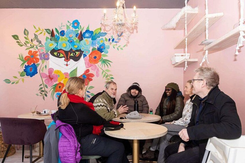Take comfort and cozyness to another level while sipping on a paw-tastic coffee and petting the cats of the Kattakaffihusid
 in Reykjavik 5