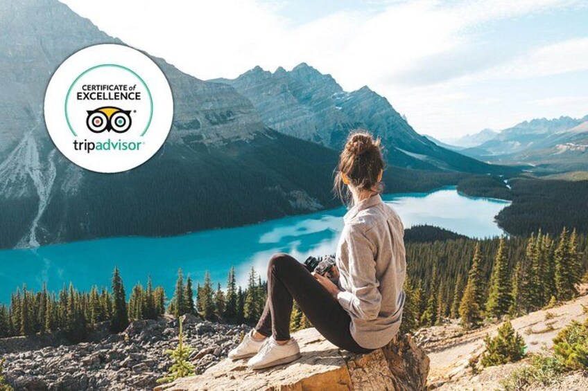 Icefields Parkway Small Group Tour with Peyto Lake and Lunch 1