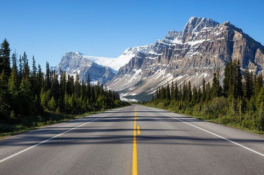 Icefields Parkway Small Group Tour with Peyto Lake and Lunch 2