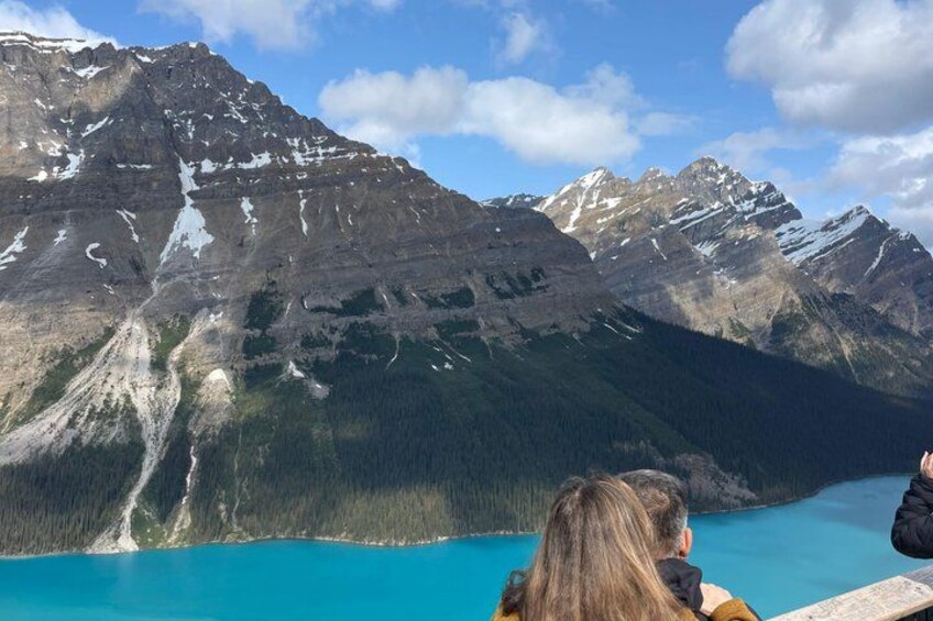 Icefields Parkway Small Group Tour with Peyto Lake and Lunch 4