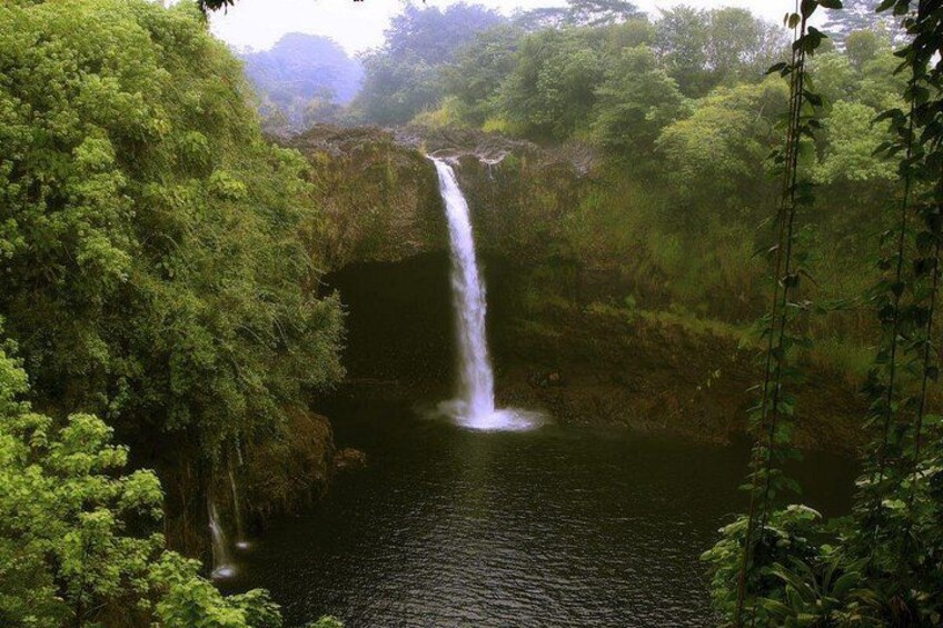 A waterfall in a lush, green forest. 5