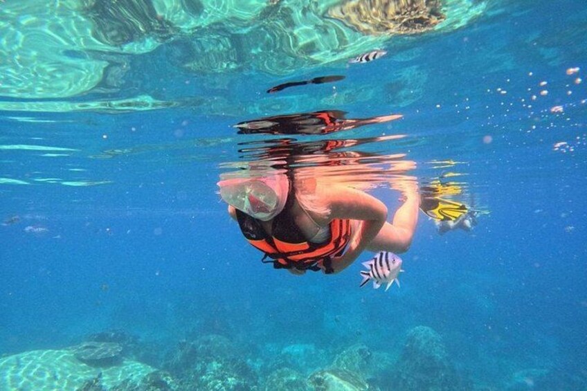 Koh Tao & Koh Nang Yuan Snorkeling Day Trip with Lunch 3