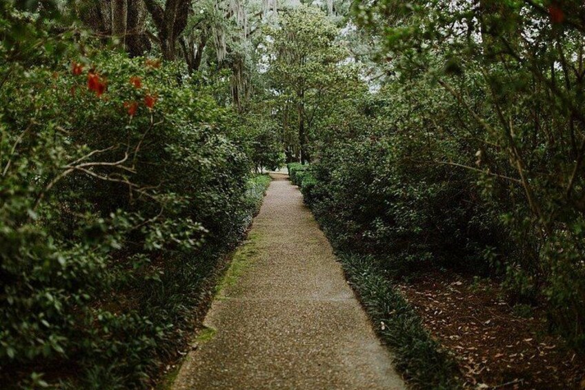 Myrtles Plantation Evening Mystery Tour 2