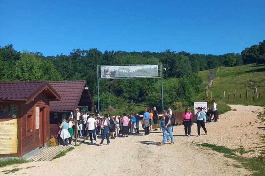 from Brasov Bear Sanctuary day trip 3