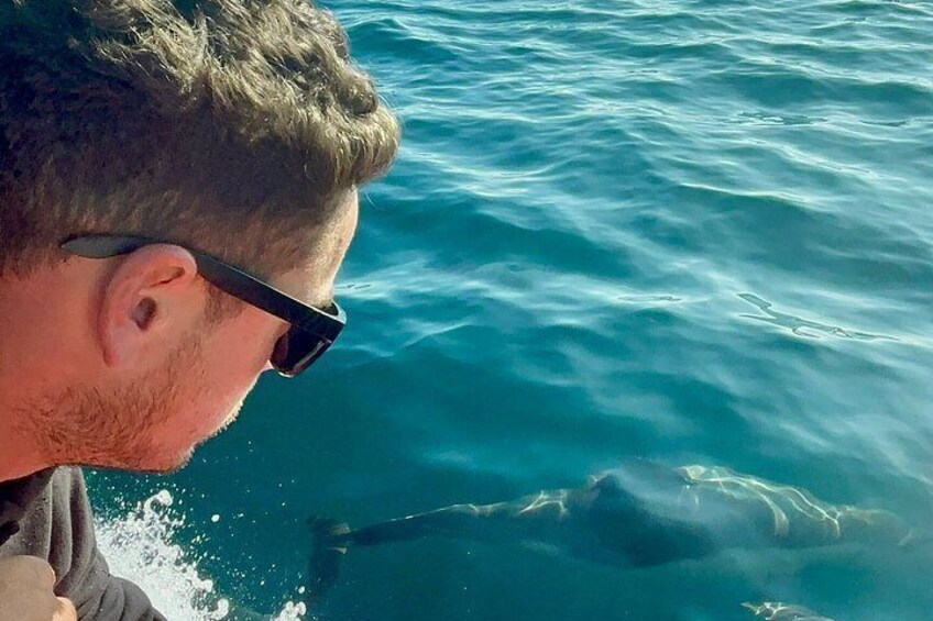 Whale Watching with O’side Whales 5